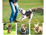 Dog toy chew tug rope strong long