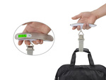 Poids du légende de déplacement à l'aéroport 50 kg
