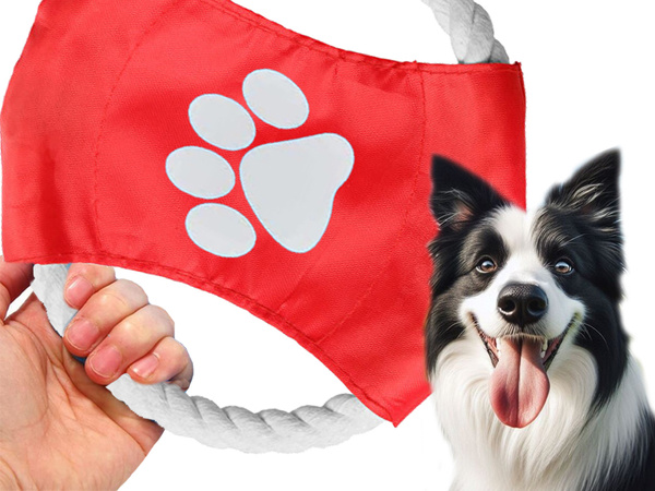 Jouet pour chien à mâcher corde frisbee disque