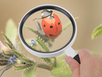 Classic reading glass 95mm