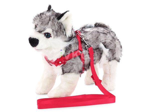 Leash with harness dog cat rabbit p1.5