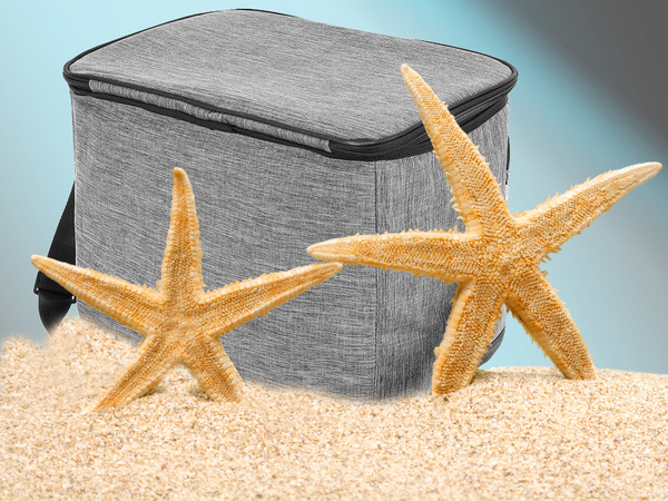 Thermotasche lunchbox picknick essen für den strand zum trinken kühlschrank 16l