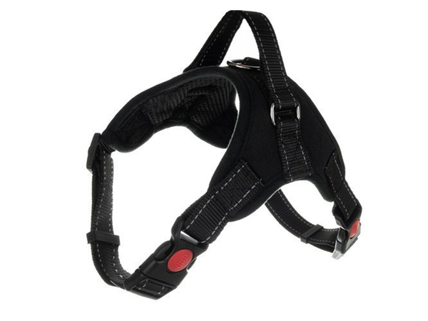 Sturdy, non-pressure harness for dogs handle light m