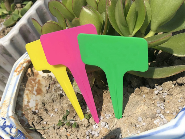 Plant description labels seeds characteristics 50pcs