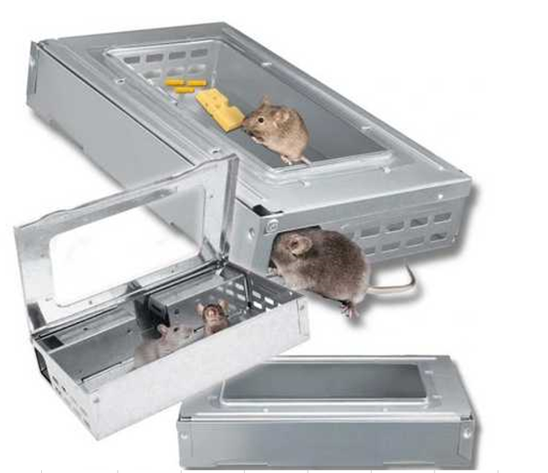 PIÈGE À SOURIS VIVANT 3 (25)