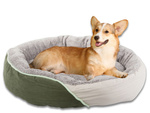 Lit pour chien chat lit moelleux canapé coussin m large