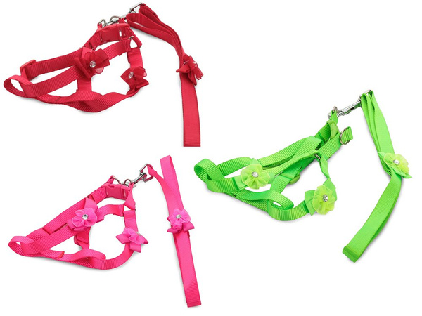 Laisse avec harnais chien chat lapin p1.5