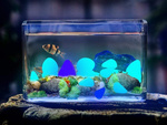 Fluorestsentsed valguskivid 100 tk