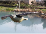 Ahuyentador de aves estorninos palomas roedores halcón