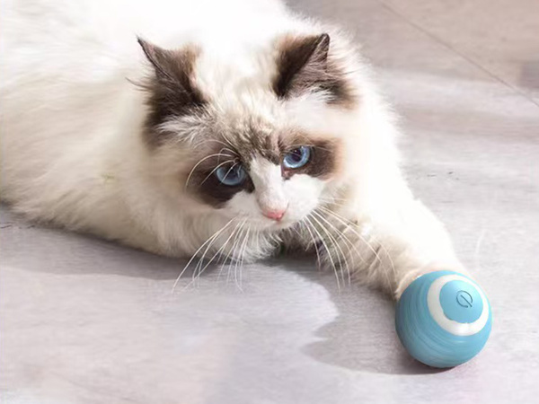Juguete para gato perro bola de escape led vibración eléctrica usb bola