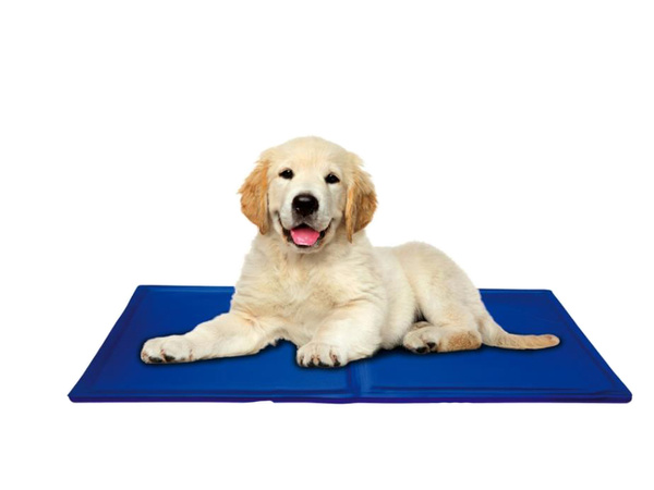 Water-resistant gel cooling mata for dogs animals 50x65cm cat leggage