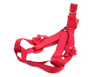 Harnais laisse pour chien chat lapin p1