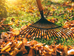 Râteau à feuilles de jardin fil métallique léger 36cm en forme d'éventail