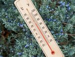Domestic wood indoor outdoor thermometer
