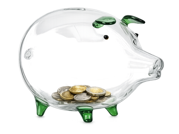 LARGE GREEN PIGGY BANK (48)