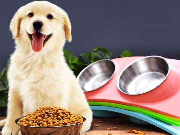 Metal doughters for dogs and cats 2pc set 0.4 l