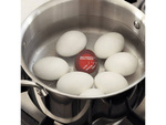 Minuteur pour cuiseur d'oeufs minuteur d'oeufs