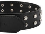 Studded dog collar eco leather adjustable l