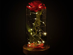 Everlasting rose in glass red led gift luminous for an occasion for women