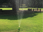 Garden sprinkler sunflower garden watering can