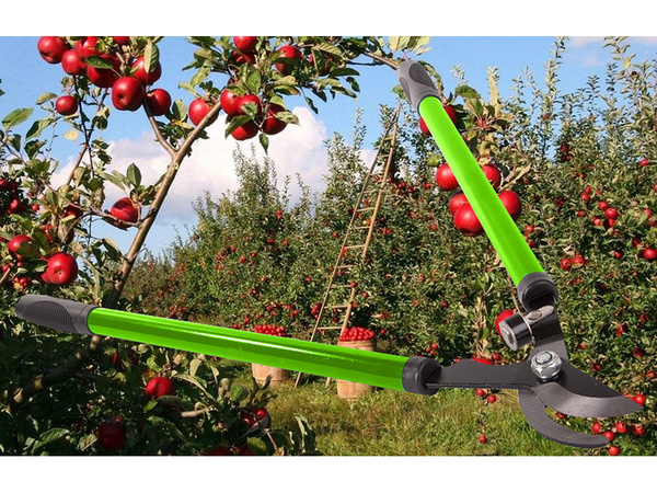 Handschere für strauchzweige lange ambossschere