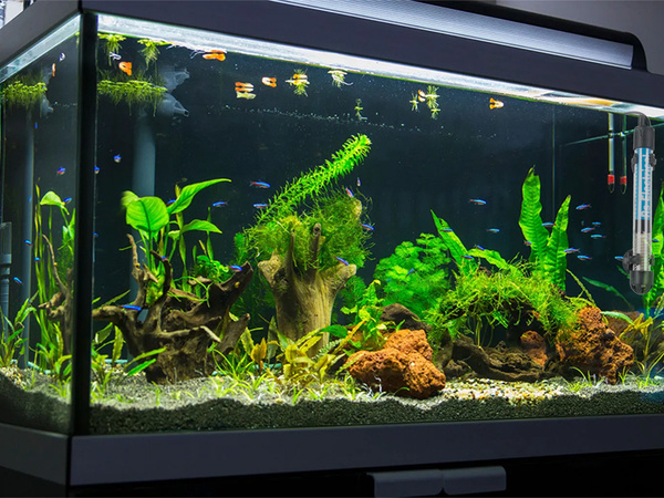Ohrievač akvária 50w regulácia teploty termostat účinný 50l ohrev