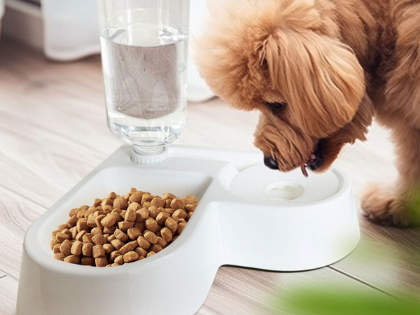2in1 dubultā barības un ūdens bļoda ar 500 ml tvertni sunim un kaķim
