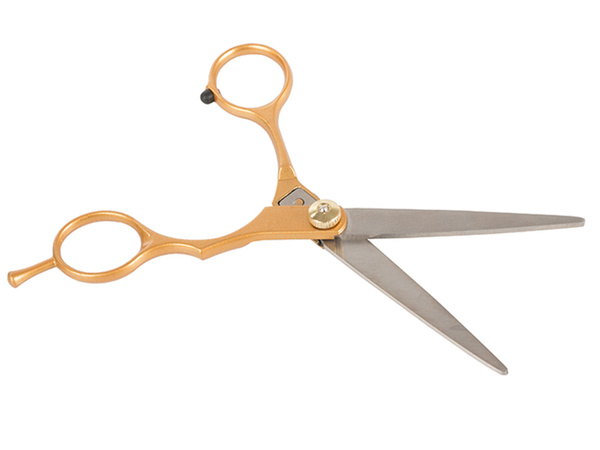 Ciseaux de coiffure professionnels