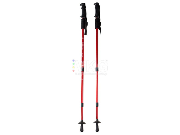 Nordic walking botok trekking bot