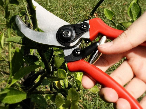 Garden hand pruner shrub pruning shears forged steel