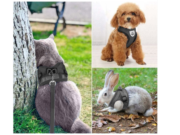 Suspender without pressure for dog cat rabbit soft strong reflector m