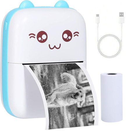 MINI PRINTER SININE (100)