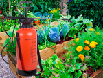 Pressure sprayer garden hand sprayer long lance 8l belt