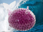 Balles sensorielles anti-stress en gel squishy dauphin grand crush