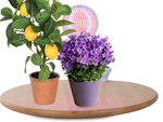Panou 200 lampă led pentru creșterea plantelor 20w creștere