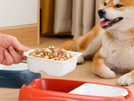 Comedero doble para perro gato comedero y bebedero extraible plástico grande