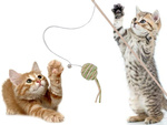 Juguete para gatos caña de pescar pelota sonajero juguete