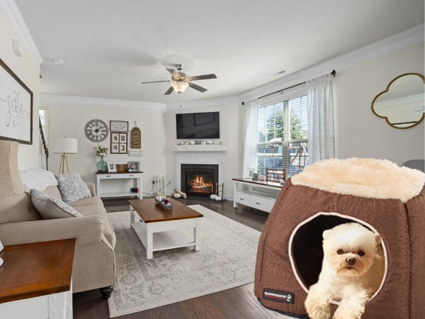 Pasja postelja za pse mehka pasja postelja šotorska posteljnina kavč za igro