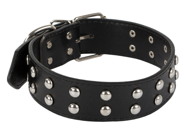 Studded dog collar eco leather adjustable l