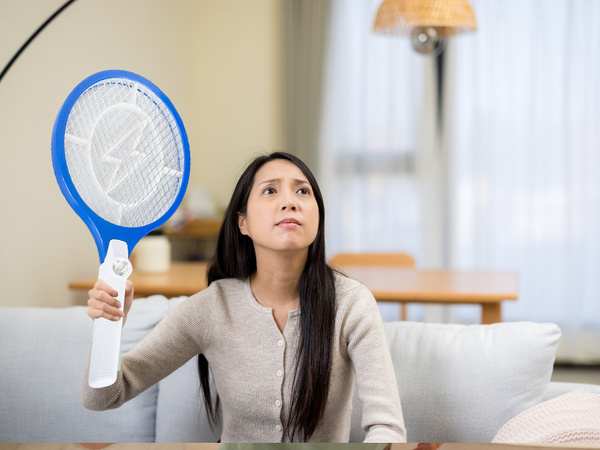 Attrape-mouches électrique pochette à pattes moustiques mites mouches
