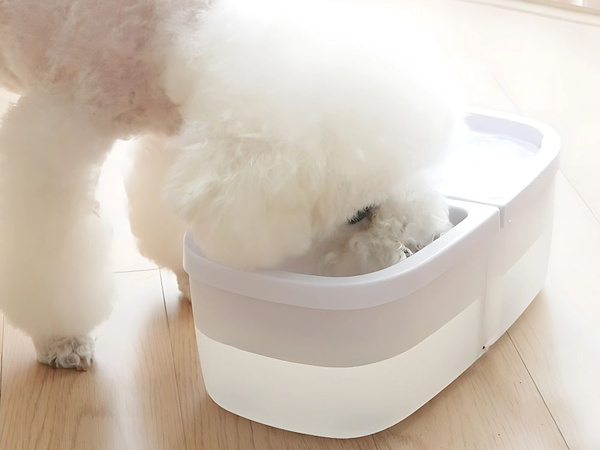 Bebedero automatico 2en1 usb fuente cuenco gato perro agua y comida