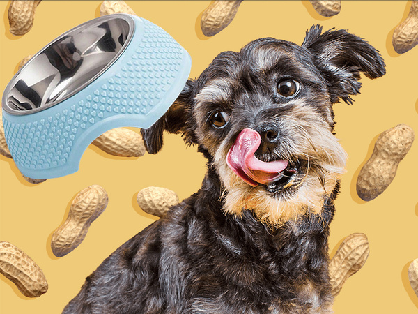 Cuenco de metal para perros con inserto extraíble 350ml