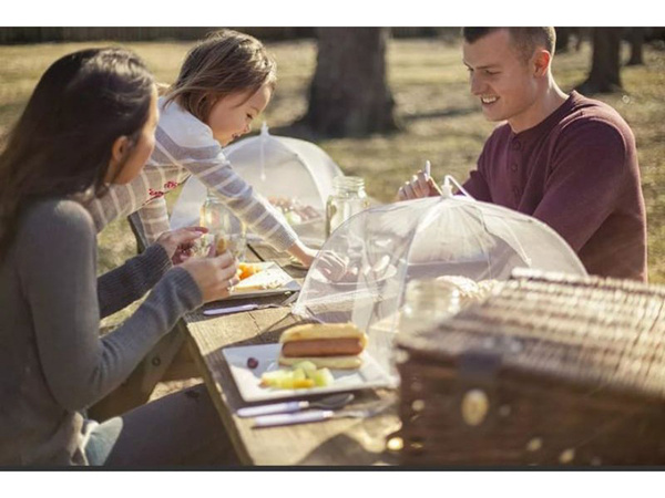 Moustiquaire pour aliments, fruits, barbecue, protection contre les insectes 40cm