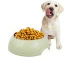 1200ml metal dog cat feeding bowl large