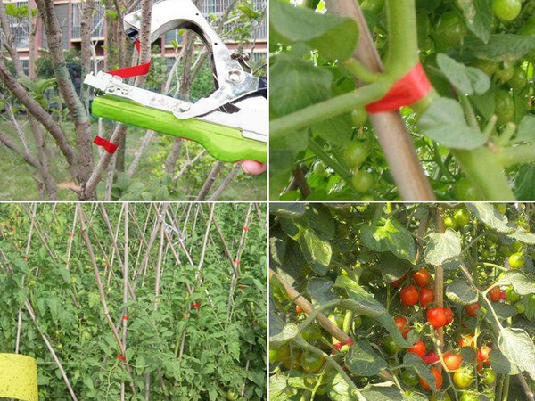 Pflanzenhefter gartenzapfgerät tomatenstockbinder