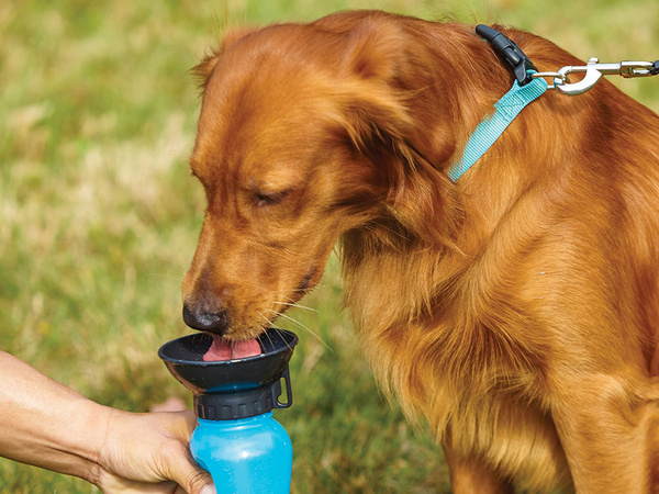 Bouteille de voyage écuelle pour chien 0.5l