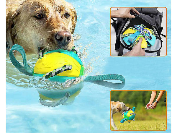 Hračka pre psov frisbee loptička lietajúci disk na hryzenie