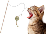 Juguete para gatos caña de pescar pelota sonajero juguete