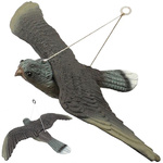 Ahuyentador de aves estorninos palomas roedores halcón