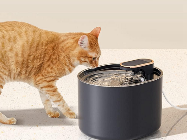 Automatic cat waterer dog water fountain filters water bowl